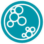 Colony Detection software icon