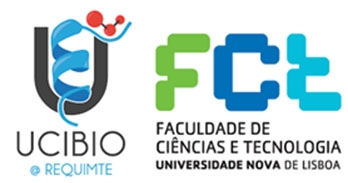 Lisbon institute logo