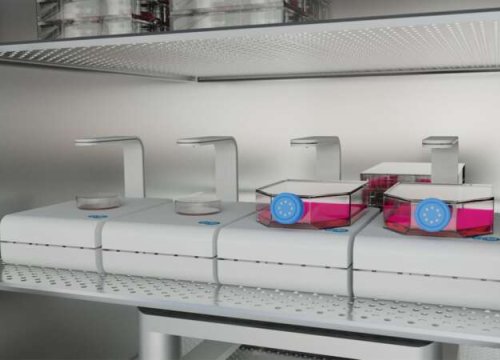 CytoSMART Multi Lux in incubator