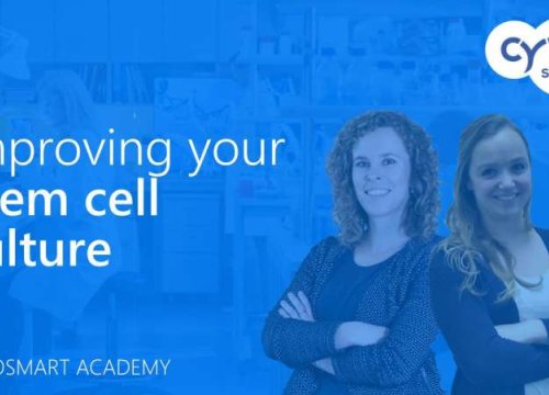 How to improve your stem cell culture