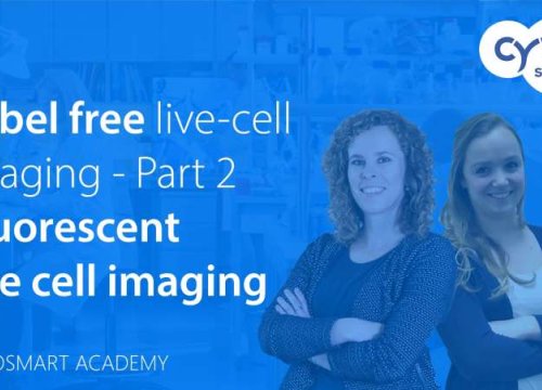 Label free live-cell imaging - Part 2