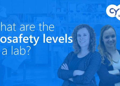 What are the biosafety levels (BSL) in a lab?