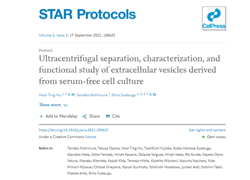 Ultracentrifugal separation, characterization, and functional study of extracellular vesicles derived from serum-free cell culture